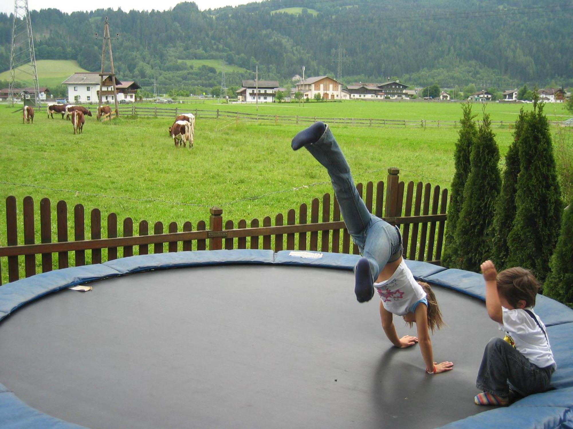Dachsteinblick